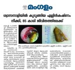 dr.tinku Articles